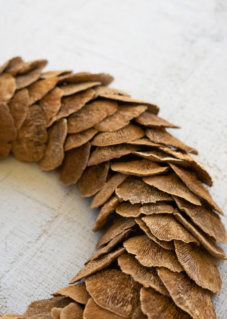Sponge Mushroom Wreath