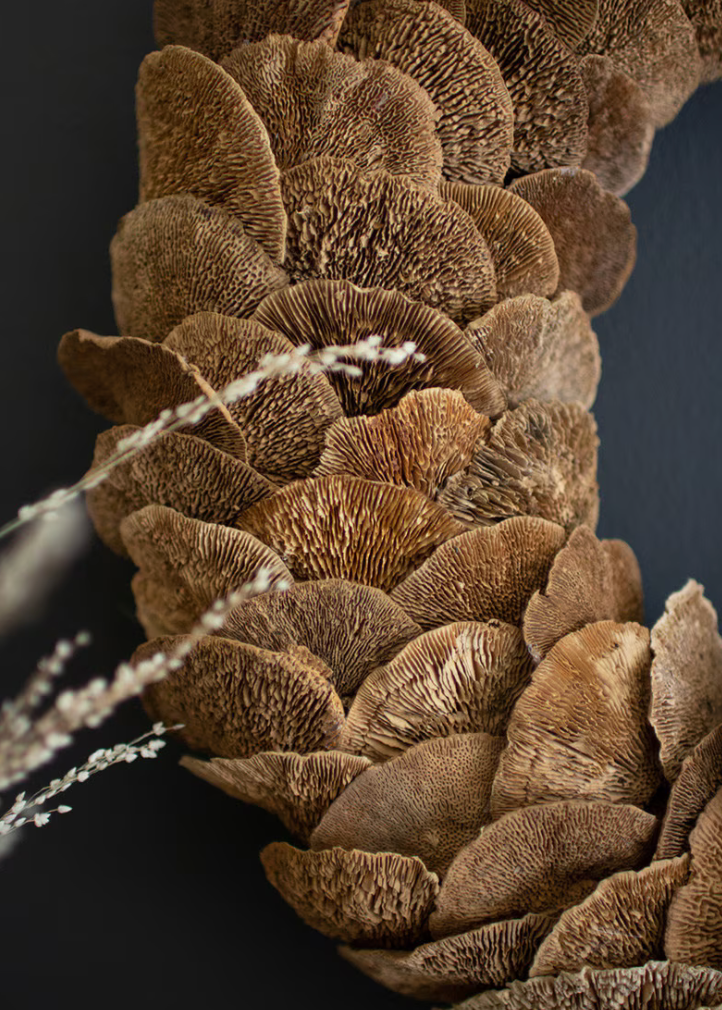 Sponge Mushroom Wreath