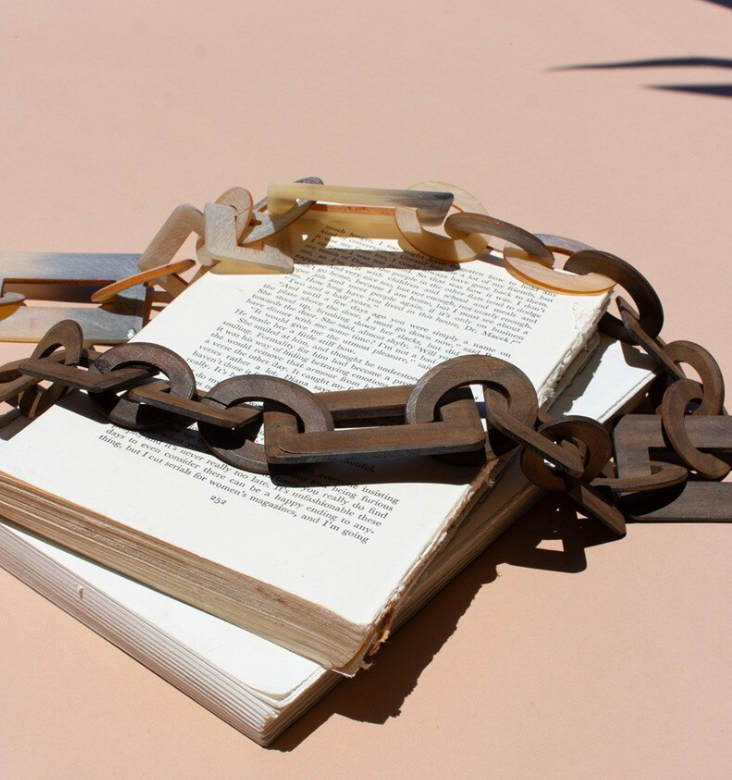 Two-Toned Horn Chain Necklace