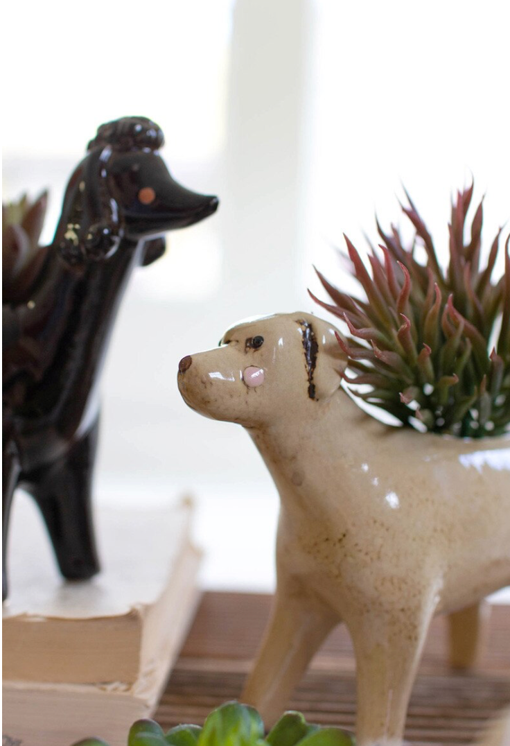 A ceramic dog-shaped planter in a speckled cream glaze, holding a small succulent, with another dark glossy dog figurine blurred in the background.