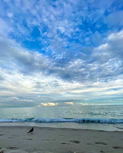 Hope, Prayer and Surrendering