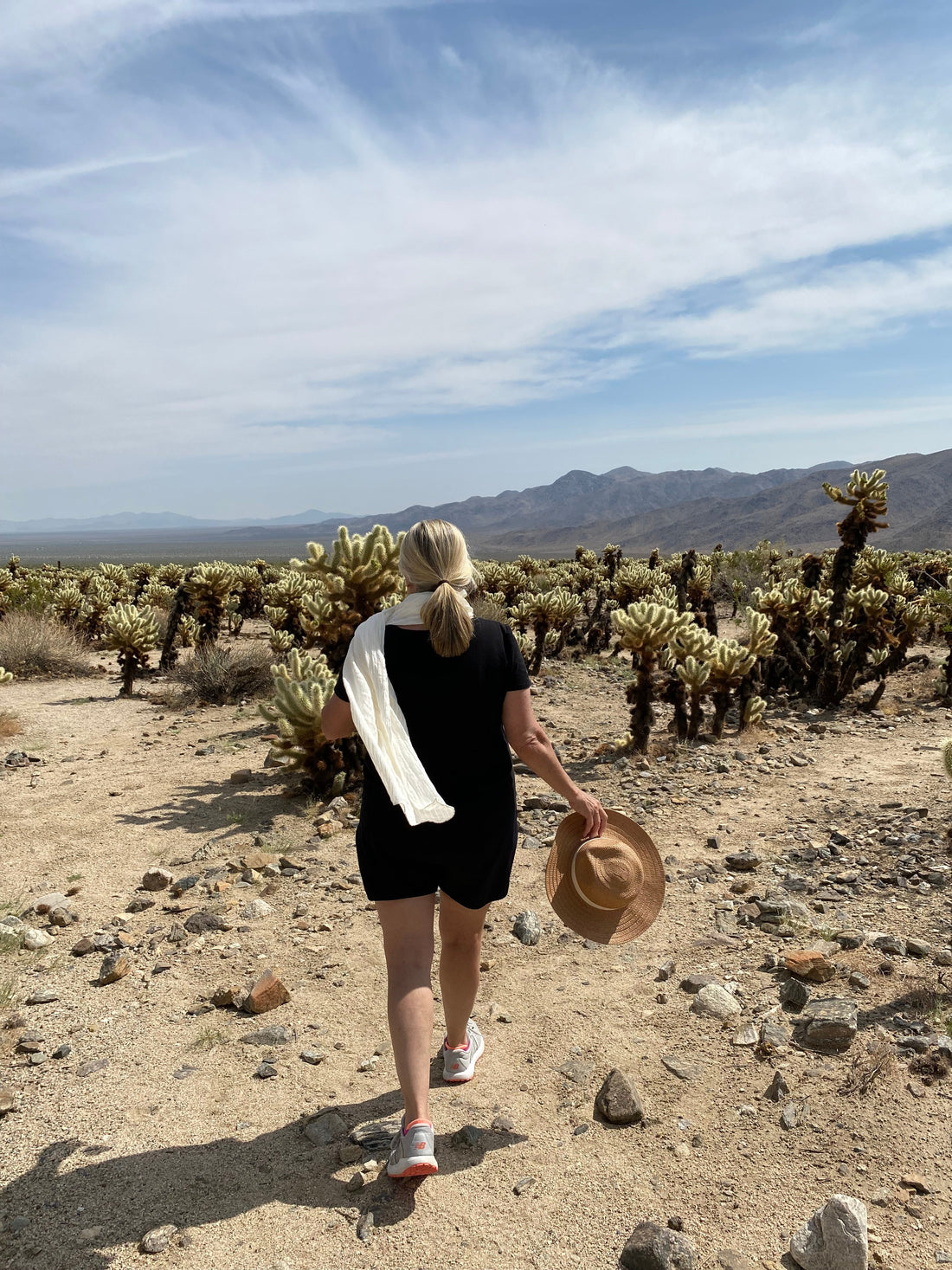 Adventure? Yes Please!