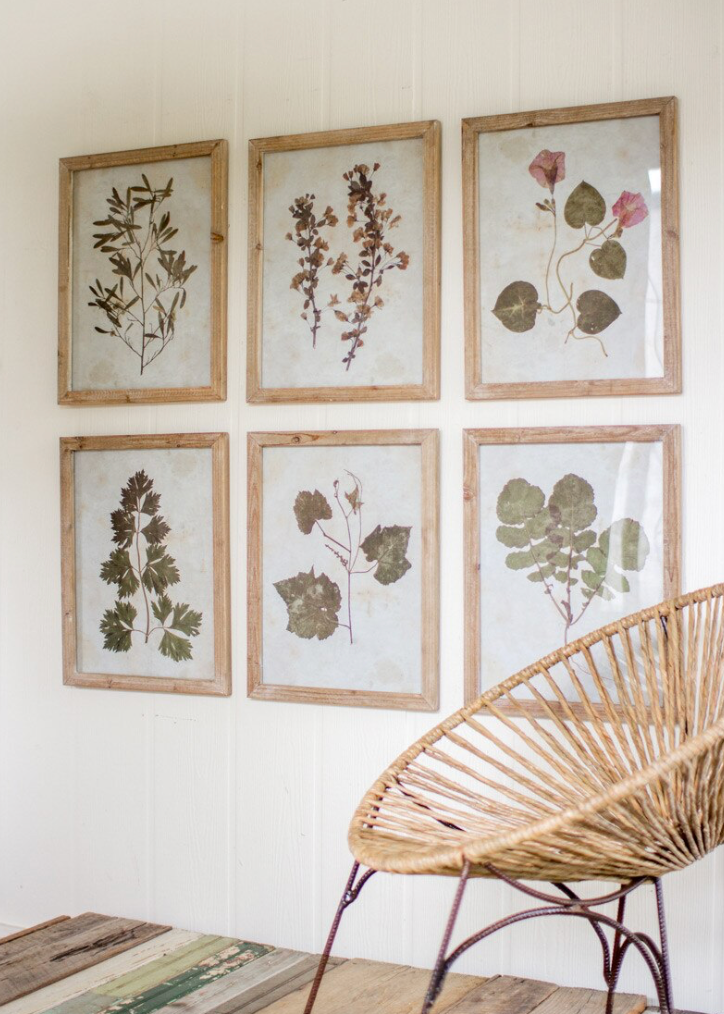 Set of 6 Leaf Prints Under Glass