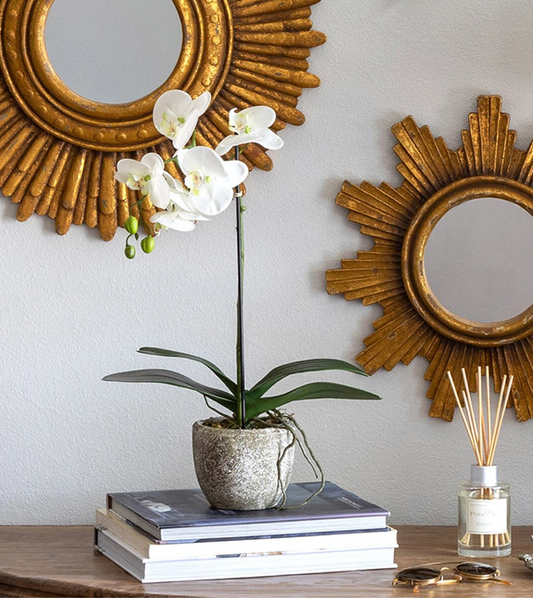 Potted orchid on books with decorative mirrors and diffuser in the background
