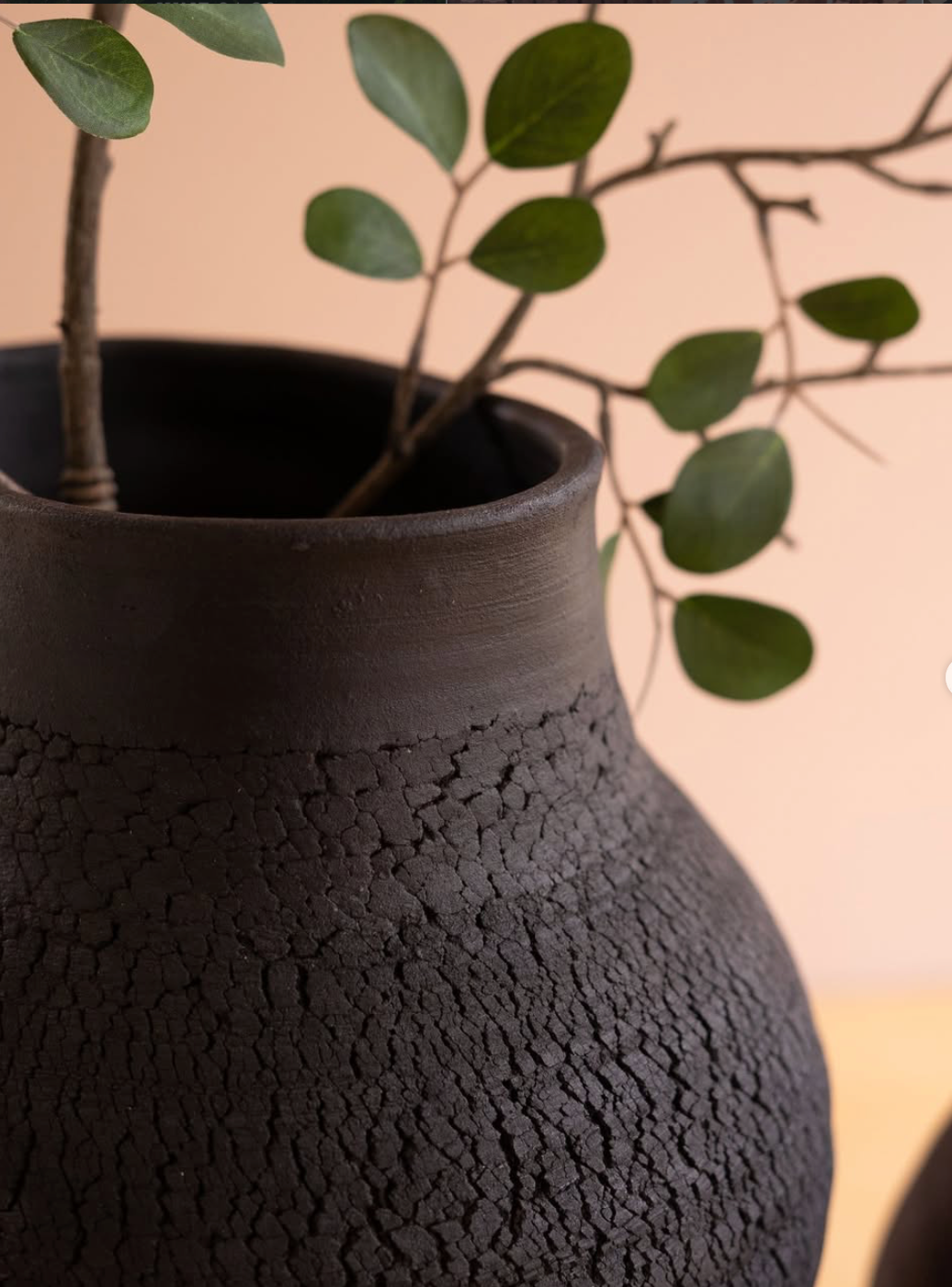 A close-up of a dark brown textured ceramic vase with a crackled finish, holding a green leafy branch against a soft peach background.