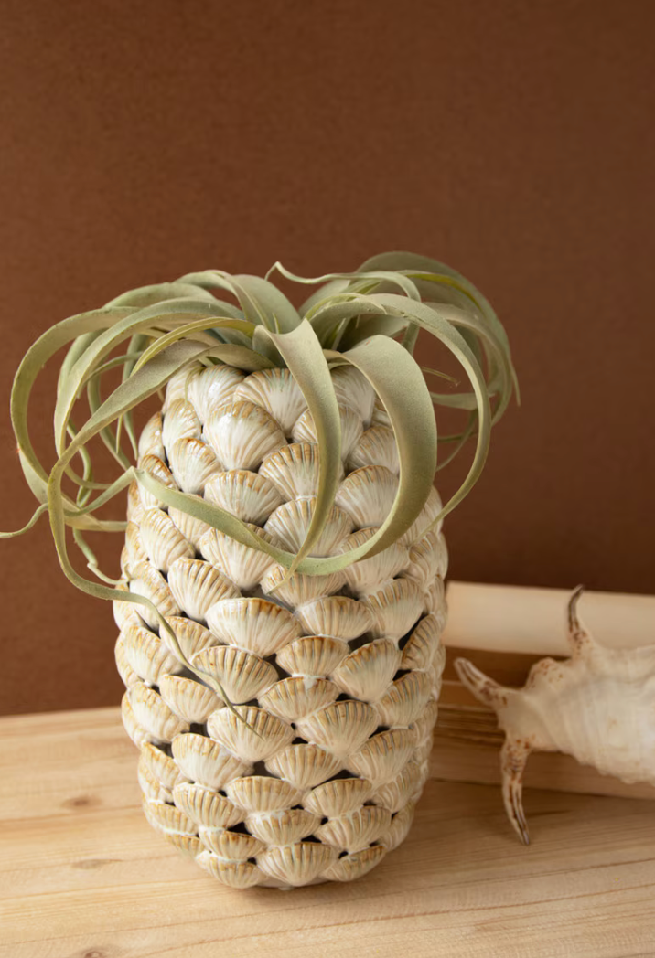 A pineapple-shaped planter made from stacked seashells, holding a green air plant, set on a light wood surface against a solid brown background.