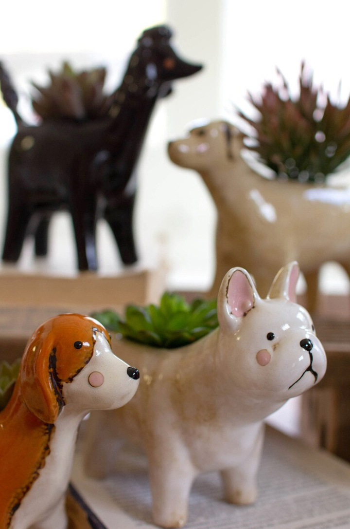 A collection of ceramic dog-shaped planters arranged on a shelf, including a white French Bulldog planter in the foreground, a brown and white Beagle planter in front of it, a black dog planter in the background, and a beige dog planter with a succulent in the far background.