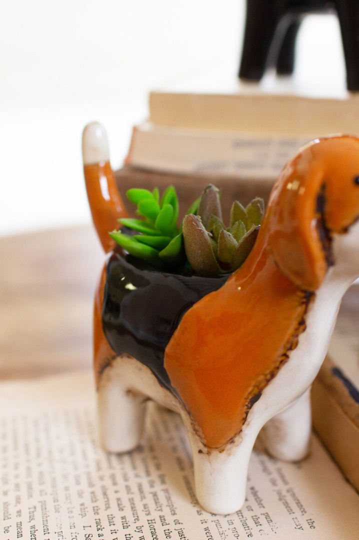 A ceramic dog-shaped planter with a glossy orange, black, and white glaze, holding small green succulents, styled on top of an open book.