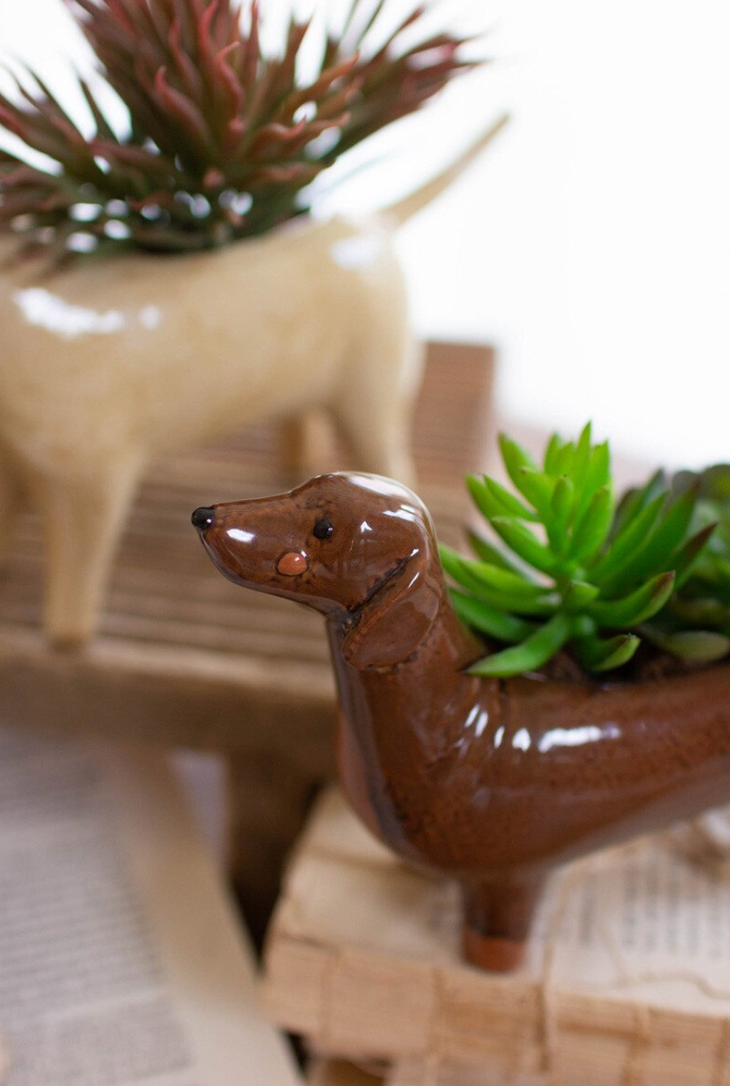 A glossy brown dachshund-shaped planter holding a green succulent, styled on a wooden surface next to a cream-colored ceramic planter with another succulent.